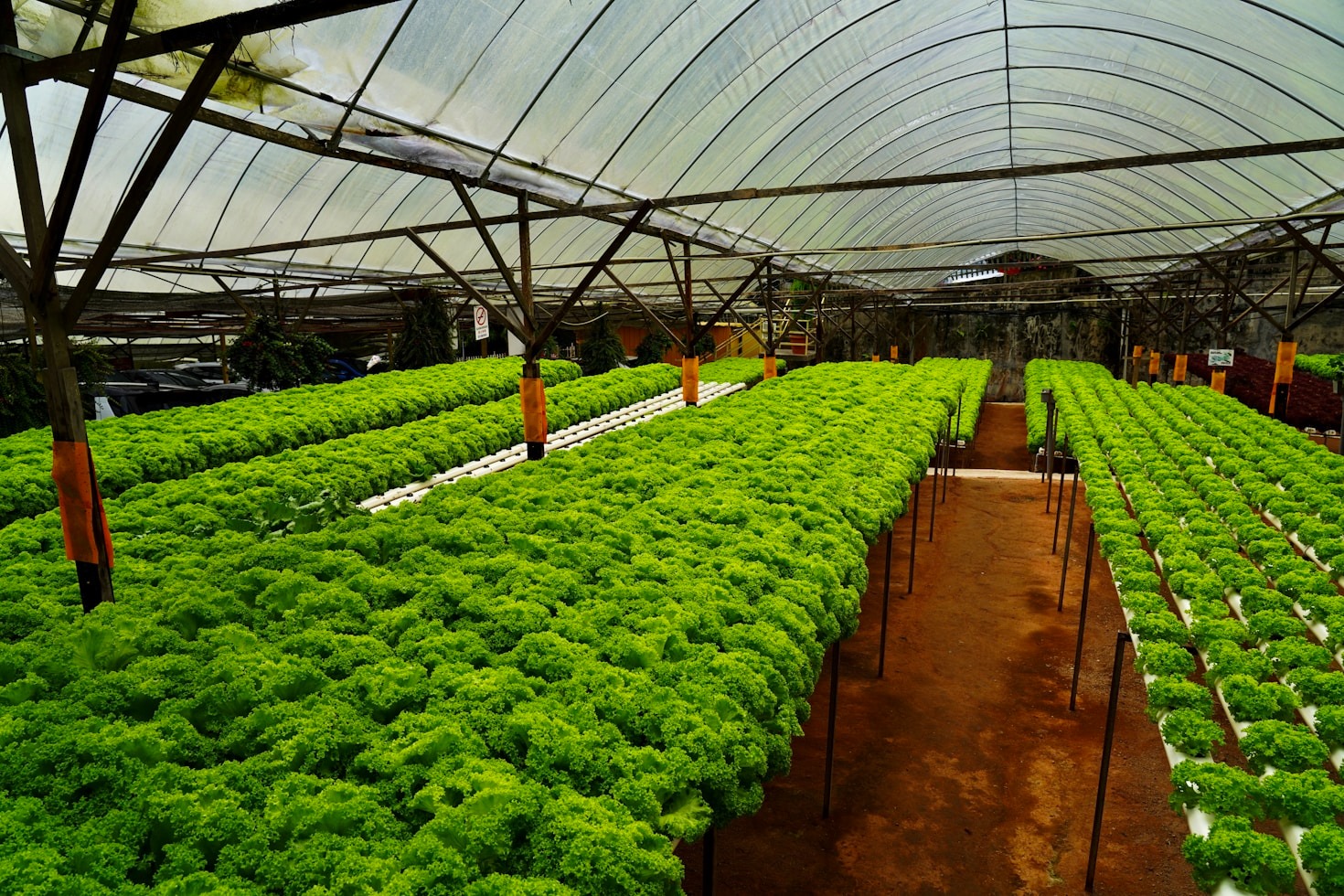 The Beginner’s Guide to Balcony Aquaponics Systems