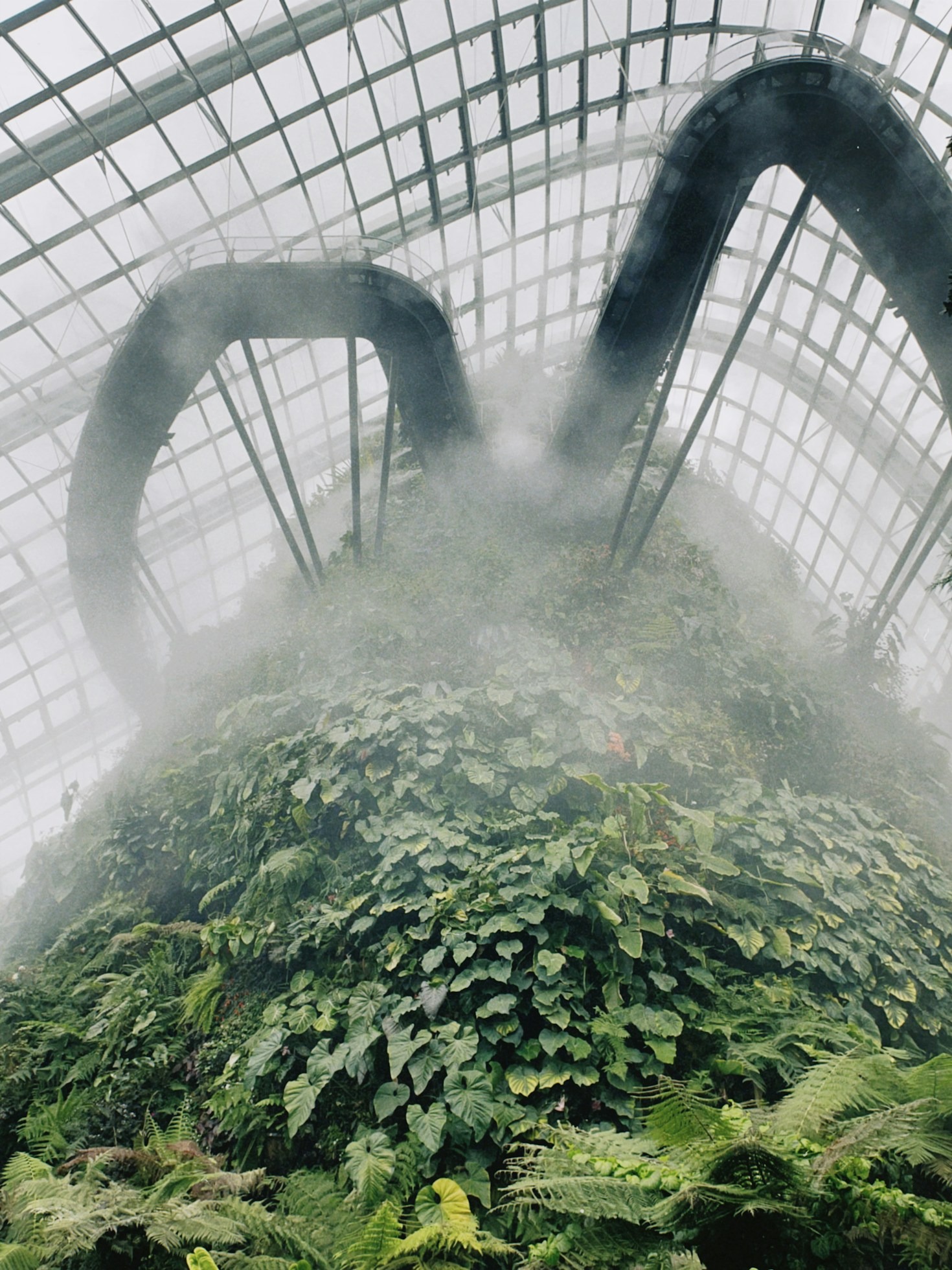 Harnessing Solar Energy to Power Your Urban Farm