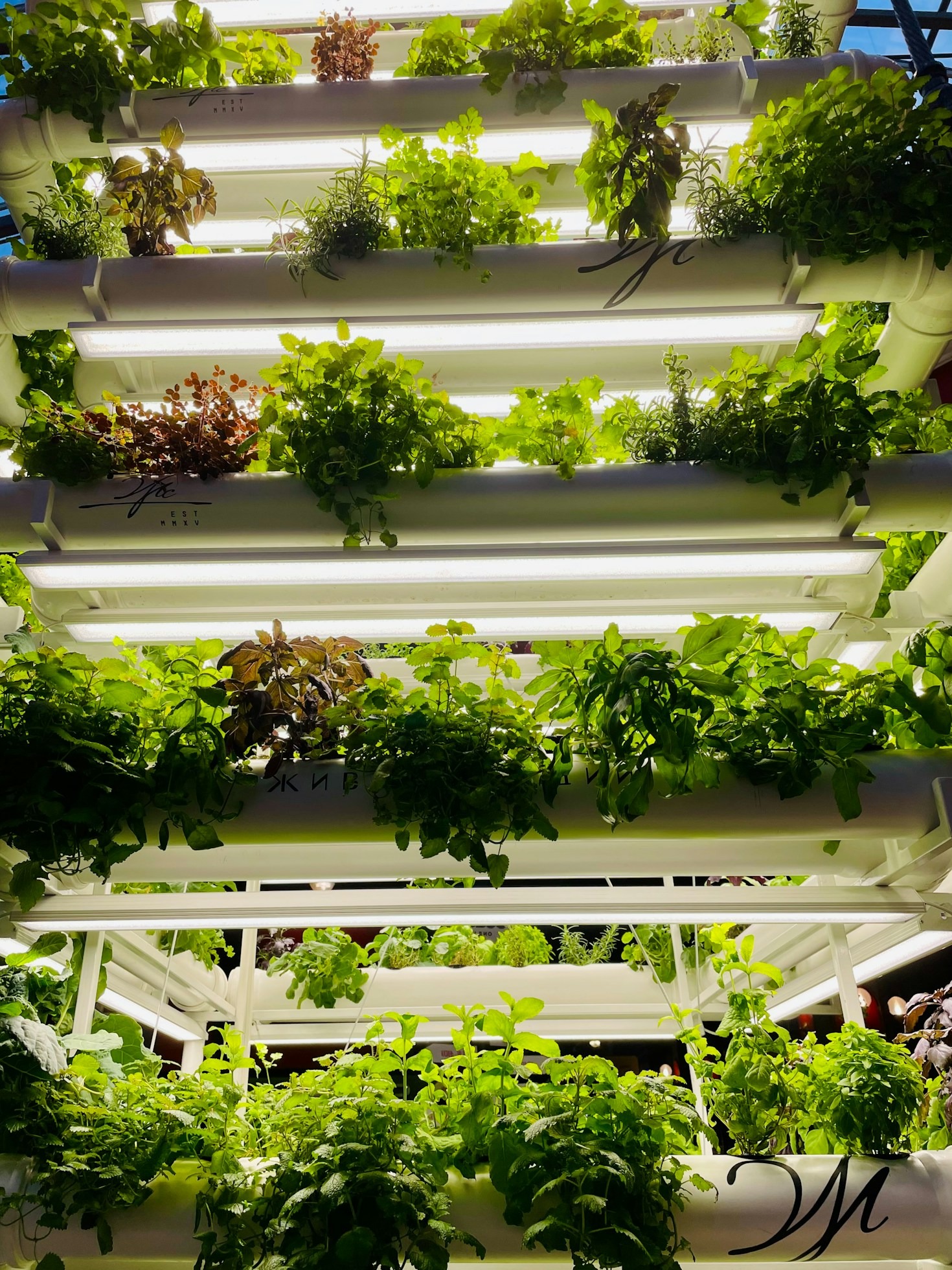 The Vital Role of Sustainable Agriculture in Climate Resilience